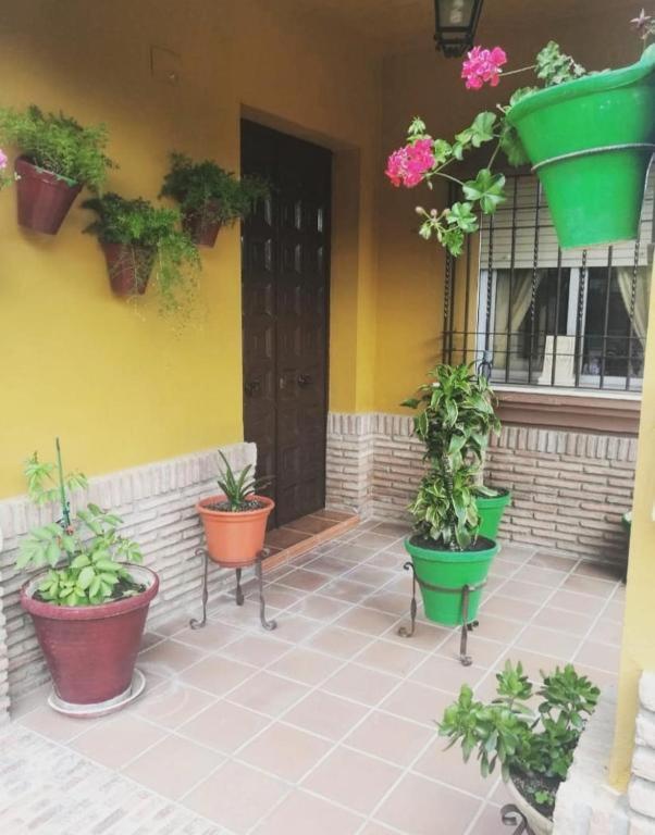Villa Dama Rural à Posadas Extérieur photo